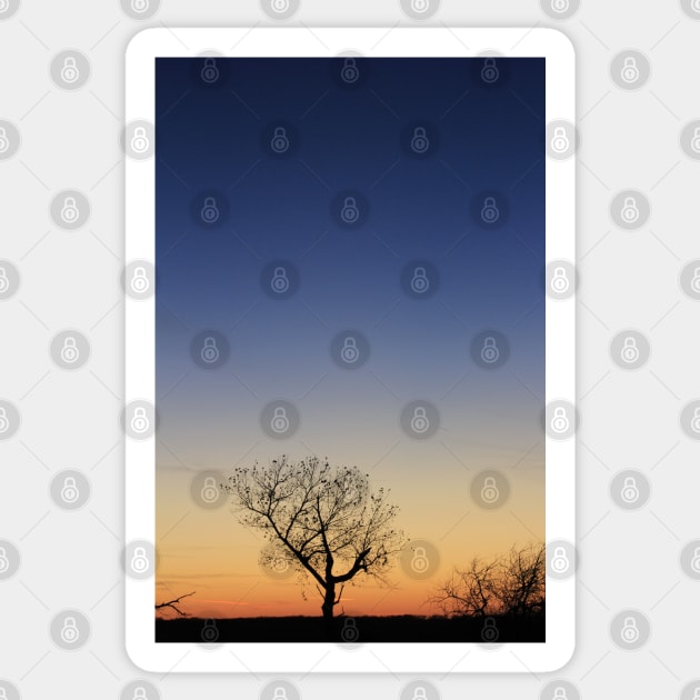 Kansas Sunset at Twilight with a Tree silhouette Sticker by ROBERTDBROZEK